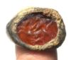 Picture of Graeco-Persian style intaglio set in. silver ring. Bellerophon riding Pegasos . 3RD - 1ST CENTURY B.C