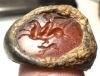 Picture of Graeco-Persian style intaglio set in. silver ring. Bellerophon riding Pegasos . 3RD - 1ST CENTURY B.C
