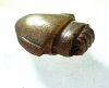 Picture of ANCIENT EGYPT. STONE HEART AMULET. NEW KINGDOM 1250 B.C