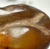 Picture of ANCIENT EGYPT.  CARNELIAN STONE FIGURE OF A HIPPOPOTAMOUS  . NEW KINGDOM 1400 1250 B.C