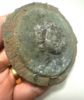 Picture of ANCIENT ROMAN BRONZE SHIELD BOSS WITH MEDUSA. 100 - 200 A.D