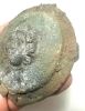 Picture of ANCIENT ROMAN BRONZE SHIELD BOSS WITH MEDUSA. 100 - 200 A.D