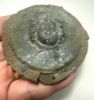 Picture of ANCIENT ROMAN BRONZE SHIELD BOSS WITH MEDUSA. 100 - 200 A.D