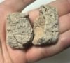 Picture of ANCIENT BABYLONIAN TWO FRAGMENT .   CLAY CUNEIFORM TABLETS. 2000 B.C