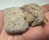 Picture of ANCIENT BABYLONIAN TWO FRAGMENT .   CLAY CUNEIFORM TABLETS. 2000 B.C