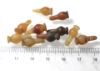 Picture of DEALER'S LOT:  ANCIENT EGYPT . LOT OF 10 CARNELIAN POPPY SEED AMULET. 1200 B.C .  NEW KINGDOM
