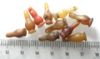 Picture of DEALER'S LOT:  ANCIENT EGYPT . LOT OF 10 CARNELIAN POPPY SEED AMULET. 1200 B.C . NEW KINGDOM