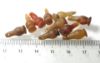 Picture of DEALER'S LOT:  ANCIENT EGYPT . LOT OF 10 CARNELIAN POPPY SEED AMULET. 1200 B.C . NEW KINGDOM
