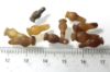 Picture of DEALER'S LOT:  ANCIENT EGYPT . LOT OF 10 CARNELIAN POPPY SEED AMULET. 1200 B.C . NEW KINGDOM