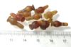 Picture of EALER'S LOT:  ANCIENT EGYPT . LOT OF 10 CARNELIAN POPPY SEED AMULET. 1200 B.C . NEW KINGDOM