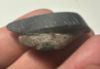 Picture of ANCIENT EGYPT. ALABASTER AND OBSIDIAN STONE EYE . LATE DYNASTY. 600 - 300 B.C