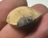 Picture of ANCIENT EGYPT. ALABASTER AND OBSIDIAN STONE EYE . LATE DYNASTY. 600 - 300 B.C