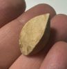 Picture of ANCIENT EGYPT. ALABASTER AND OBSIDIAN STONE EYE . LATE DYNASTY. 600 - 300 B.C