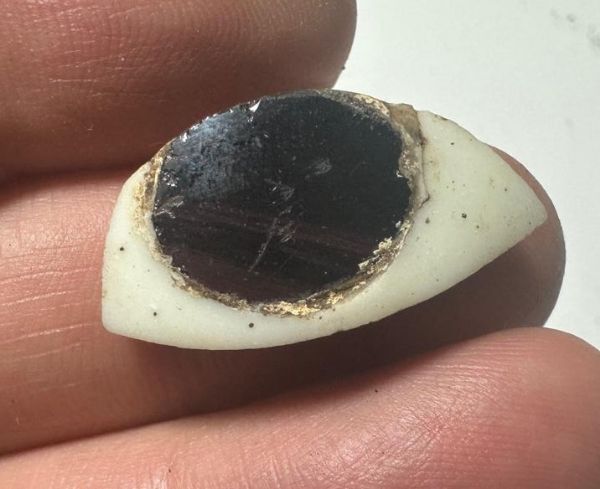 Picture of ANCIENT EGYPT. GLASS  EYE . LATE DYNASTY. 600 - 300 B.C