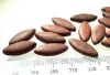 Picture of ANCIENT EGYPT. LOT OF RED JASPER STONE BEADS.     . 1400 - 1300  B.C - NEW KINGDOM