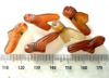Picture of ANCIENT EGYPT. CARNELIAN STONE FLY  AMULETS / PENDANTS.     . 1400 - 1300  B.C - NEW KINGDOM