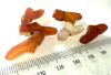 Picture of ANCIENT EGYPT. CARNELIAN STONE FLY  AMULETS / PENDANTS.     . 1400 - 1300  B.C - NEW KINGDOM