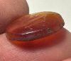 Picture of Greco-Roman stone intaglio (16 x 14 mm). 1st century BC/AD. Incuse Tyche standing r., holding filleted cornucopia and rudder.