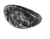 Picture of Roman Egypt. Silver(?) signet ring.2nd-3rd century AD. Incuse figure (empress?)