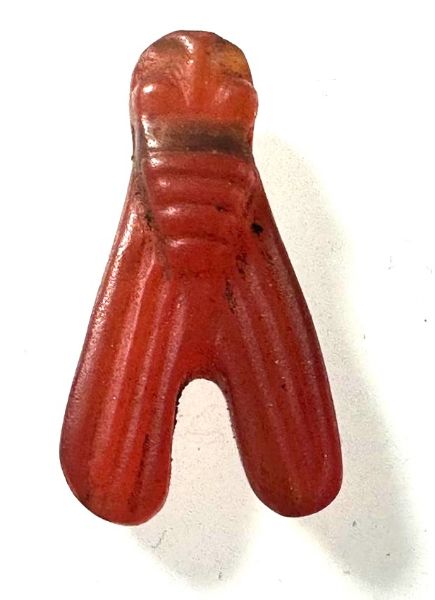 Picture of  ANCIENT EGYPT . CARNELIAN STONE FLY  AMULET. 1400 - 1200 B.C  NEW KINGDOM