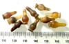 Picture of ANCIENT EGYPT . LOT OF 10 CARNELIAN POPPY SEED AMULET. 1200 B.C  NEW KINGDOM