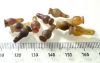 Picture of ANCIENT EGYPT . LOT OF 10 CARNELIAN POPPY SEED AMULET. 1200 B.C  NEW KINGDOM