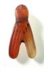 Picture of ANCIENT EGYPT . CARNELIAN STONE FLY  AMULET. 1400 - 1200 B.C  NEW KINGDOM