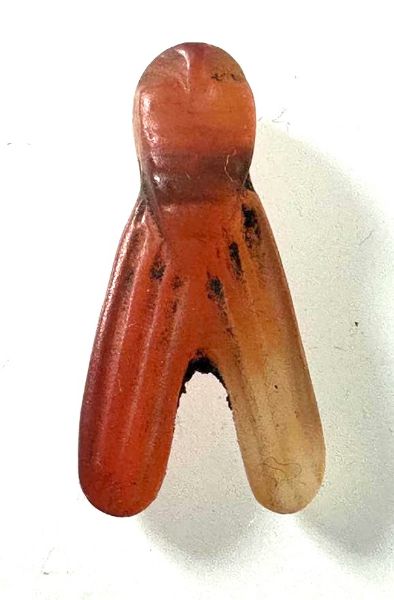 Picture of ANCIENT EGYPT . CARNELIAN STONE FLY  AMULET. 1400 - 1200 B.C  NEW KINGDOM