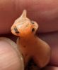 Picture of ANCIENT EGYPT, NEW KINGDOM CARNELIAN CAT AMULET. 1400 B.C