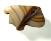 Picture of  ANCIENT EGYPT . AGATE STONE EYE OF HORUS  AMULET. 1400 - 1200 B.C  NEW KINGDOM