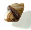 Picture of  ANCIENT EGYPT . AGATE STONE EYE OF HORUS  AMULET. 1400 - 1200 B.C  NEW KINGDOM