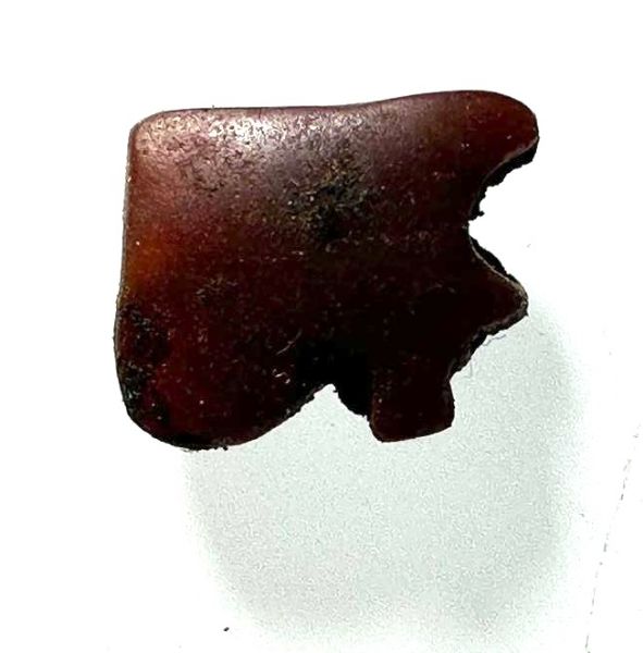 Picture of  ANCIENT EGYPT . RED JASPER STONE EYE OF HORUS  AMULET. 1400 - 1200 B.C  NEW KINGDOM