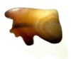 Picture of ANCIENT EGYPT . AGATE STONE EYE OF HORUS  AMULET. 1400 - 1200 B.C  NEW KINGDOM