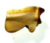 Picture of ANCIENT EGYPT . AGATE STONE EYE OF HORUS  AMULET. 1400 - 1200 B.C  NEW KINGDOM