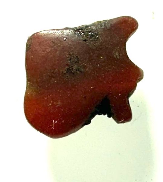 Picture of ANCIENT EGYPT . RED JASPER STONE EYE OF HORUS  AMULET. 1400 - 1200 B.C  NEW KINGDOM