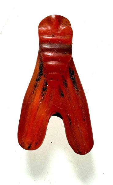 Picture of ANCIENT EGYPT . CARNELIAN STONE FLY  AMULET. 1400 - 1200 B.C  NEW KINGDOM