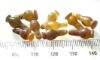 Picture of  ANCIENT EGYPT . LOT OF 10 CARNELIAN POPPY SEED AMULET. 1200 B.C  NEW KINGDOM
