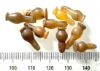 Picture of  ANCIENT EGYPT . LOT OF 10 CARNELIAN POPPY SEED AMULET. 1200 B.C  NEW KINGDOM