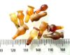 Picture of  ANCIENT EGYPT . LOT OF 10 CARNELIAN POPPY SEED AMULET. 1200 B.C  NEW KINGDOM