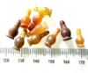 Picture of ANCIENT EGYPT . LOT OF 10 CARNELIAN POPPY SEED AMULET. 1200 B.C  NEW KINGDOM