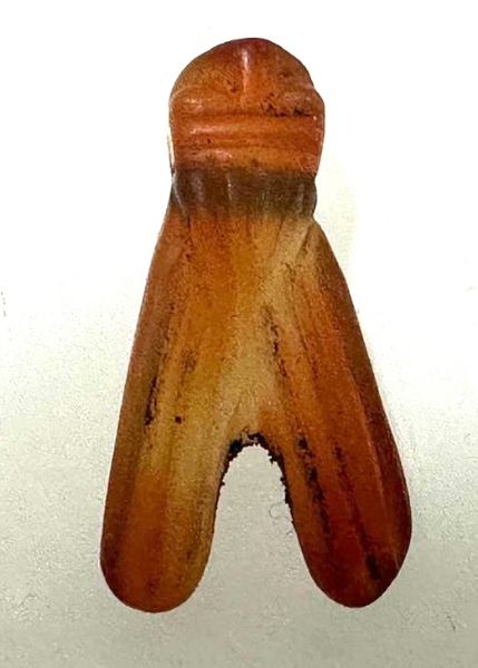 Picture of ANCIENT EGYPT . CARNELIAN STONE FLY  AMULET. 1400 - 1200 B.C  NEW KINGDOM