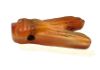 Picture of ANCIENT EGYPT . CARNELIAN STONE FLY  AMULET. 1400 - 1200 B.C  NEW KINGDOM