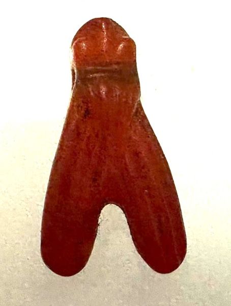 Picture of ANCIENT EGYPT . CARNELIAN STONE FLY  AMULET. 1400 - 1200 B.C  NEW KINGDOM