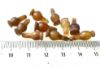 Picture of ANCIENT EGYPT . LOT OF 10 CARNELIAN POPPY SEED AMULET. 1200 B.C  NEW KINGDOM