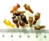 Picture of  ANCIENT EGYPT . LOT OF 10 CARNELIAN POPPY SEED AMULET. 1200 B.C  NEW KINGDOM