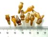 Picture of  ANCIENT EGYPT . LOT OF 10 CARNELIAN POPPY SEED AMULET. 1200 B.C  NEW KINGDOM