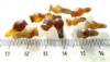 Picture of  ANCIENT EGYPT . LOT OF 10 CARNELIAN POPPY SEED AMULET. 1200 B.C  NEW KINGDOM
