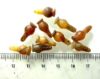 Picture of  ANCIENT EGYPT . LOT OF 10 CARNELIAN POPPY SEED AMULET. 1200 B.C  NEW KINGDOM