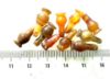 Picture of  ANCIENT EGYPT . LOT OF 10 CARNELIAN POPPY SEED AMULET. 1200 B.C  NEW KINGDOM