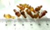 Picture of  ANCIENT EGYPT . LOT OF 10 CARNELIAN POPPY SEED AMULET. 1200 B.C  NEW KINGDOM